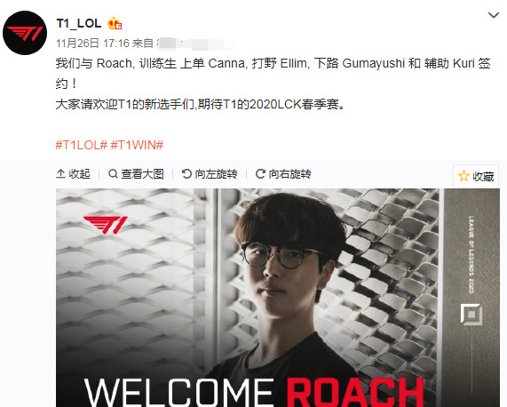 动的长期解 动的长期解